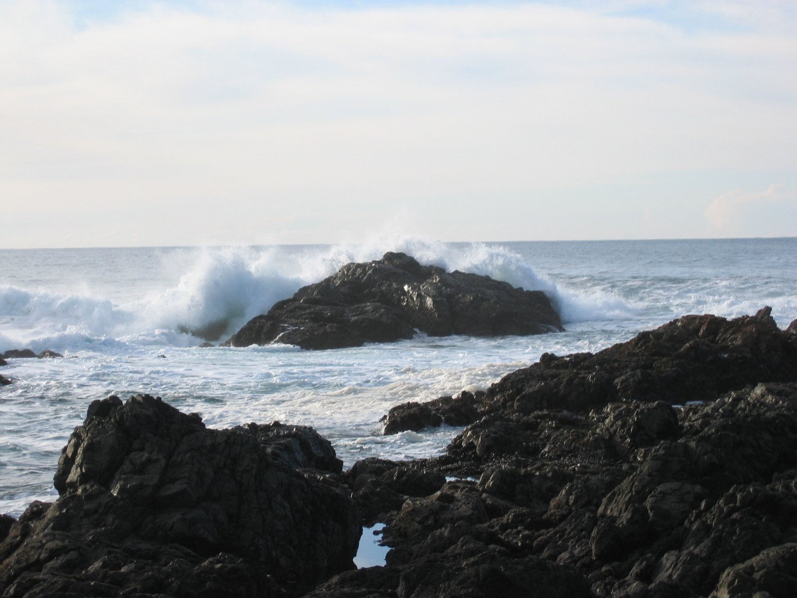 a lone bird is sitting on the rocks near the ocean