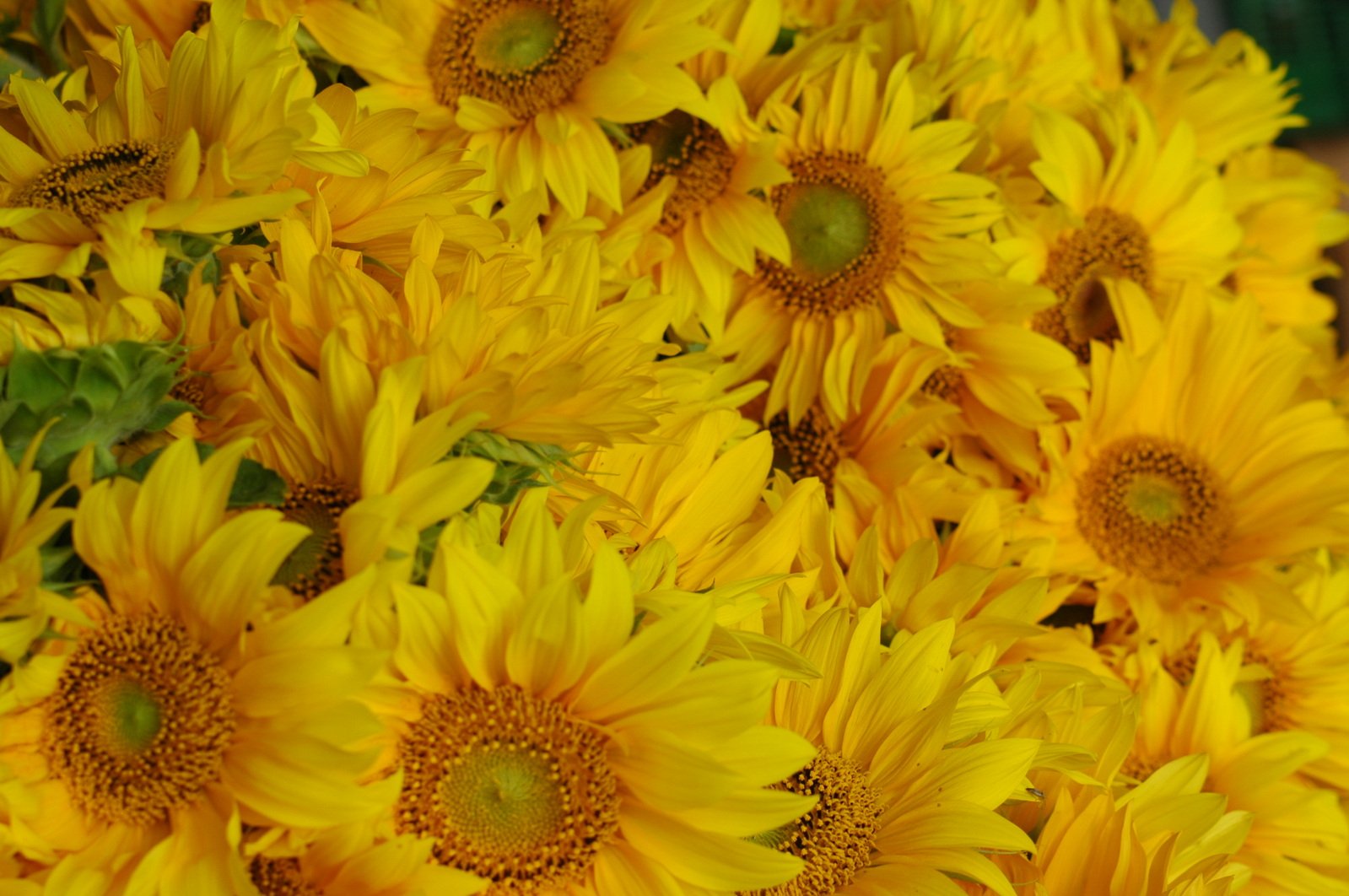 yellow flowers are in a bouquet for sale