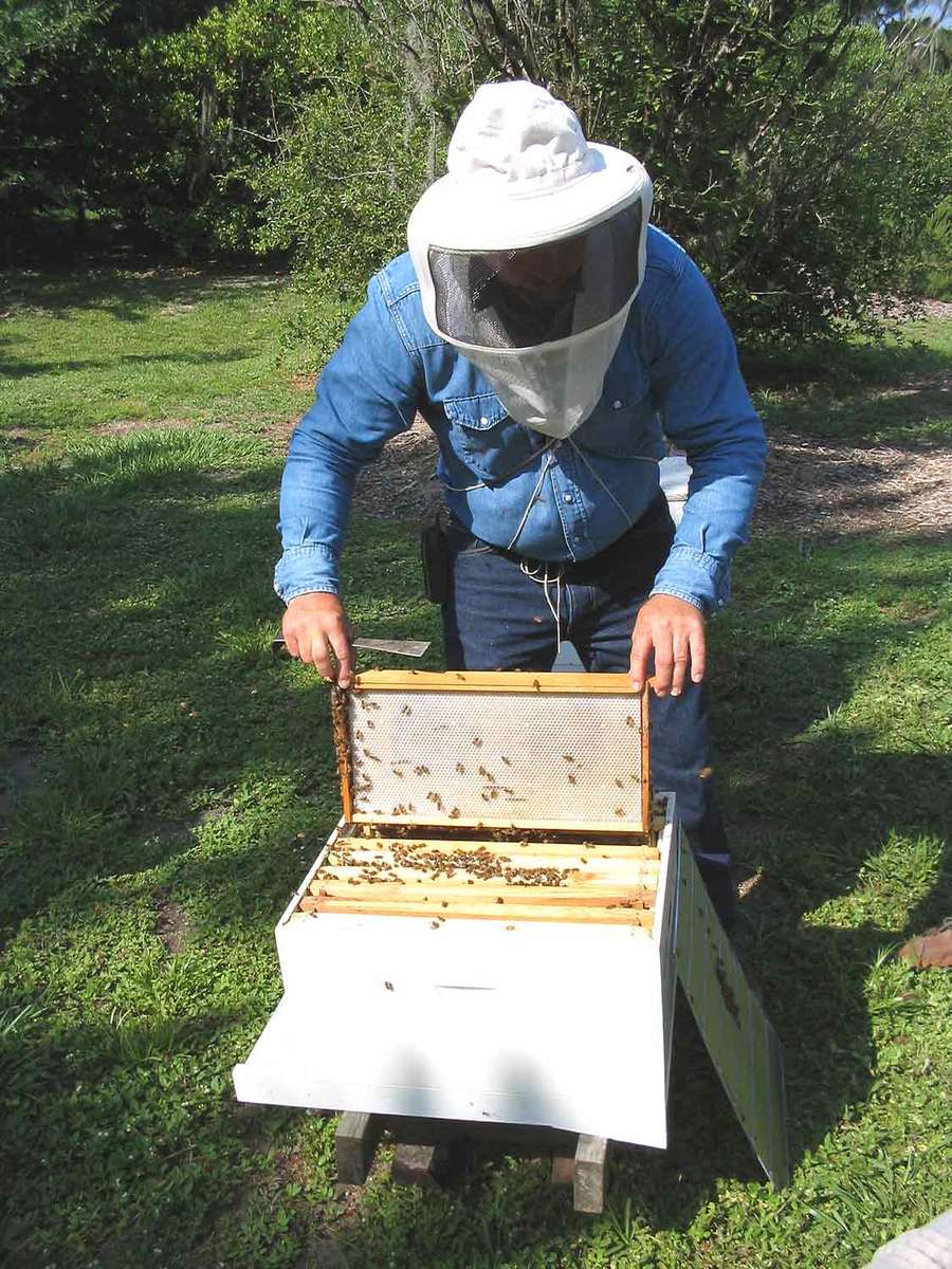 a man standing next to a beehive in a grassy field