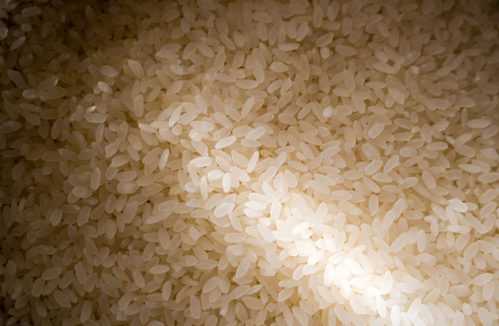 a wall of rice with the light coming through it