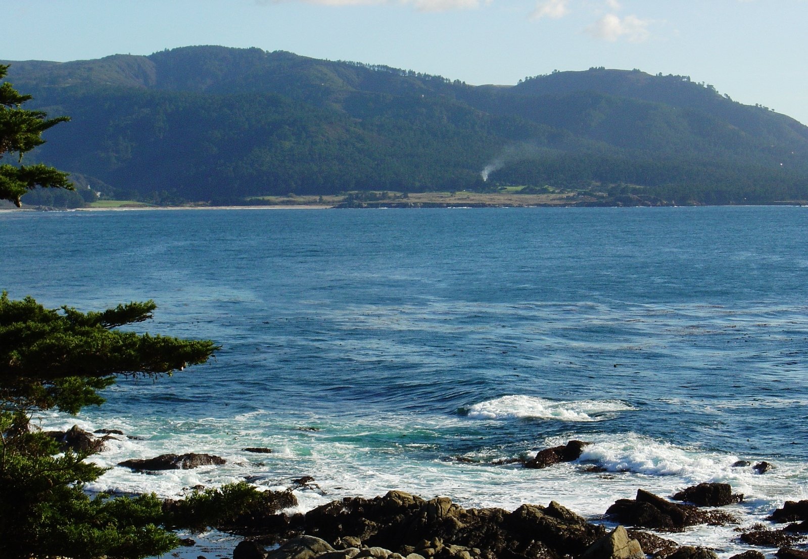 an ocean with rocks in front of it and a hillside that has some trees