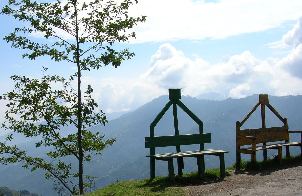 a couple of benches that are by some trees