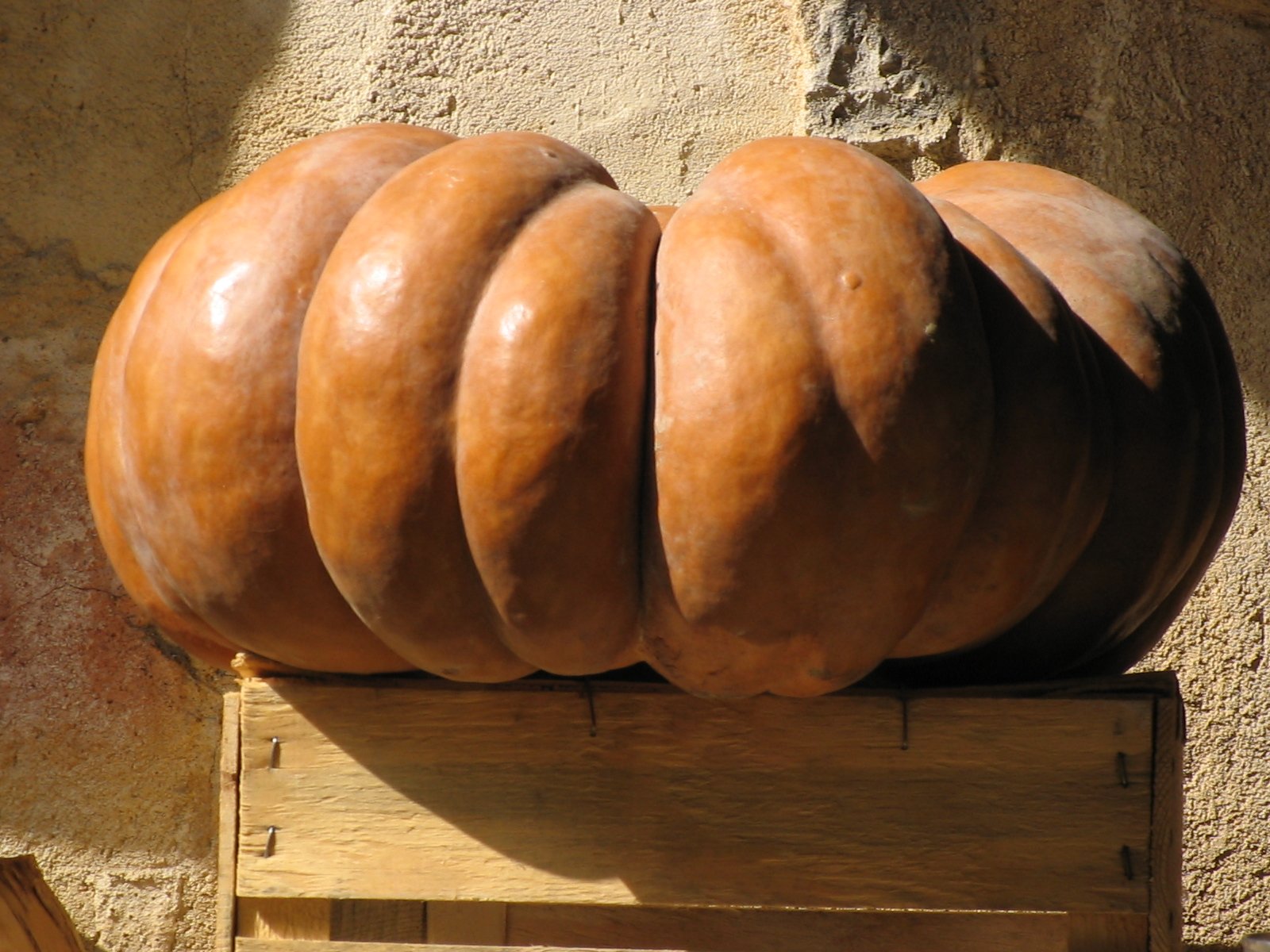 some very pretty pumpkins on a wooden crate