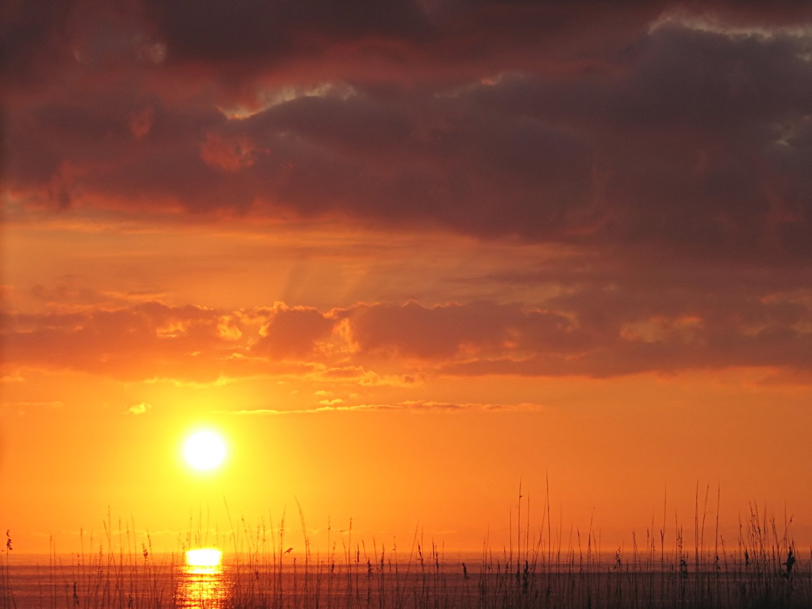 a sun is setting on the horizon over some grass