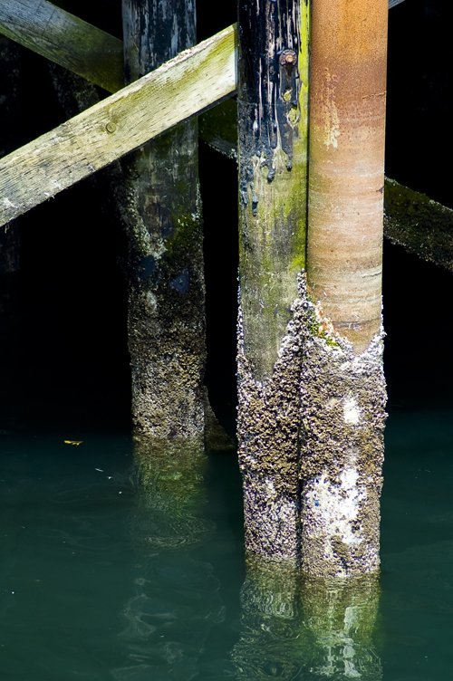 a worn wooden dock post is at the water