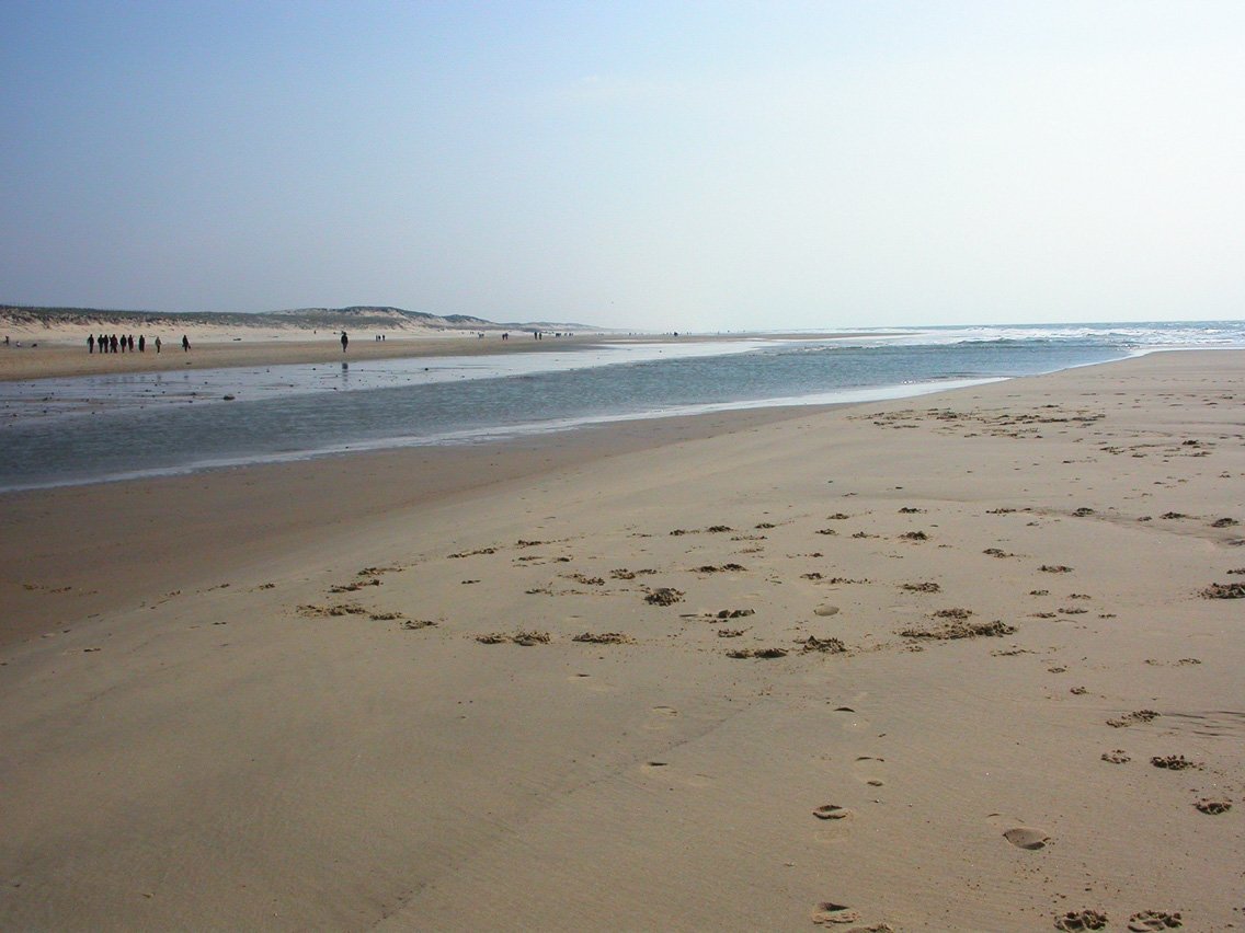 a man walking along the beach carrying a surfboard