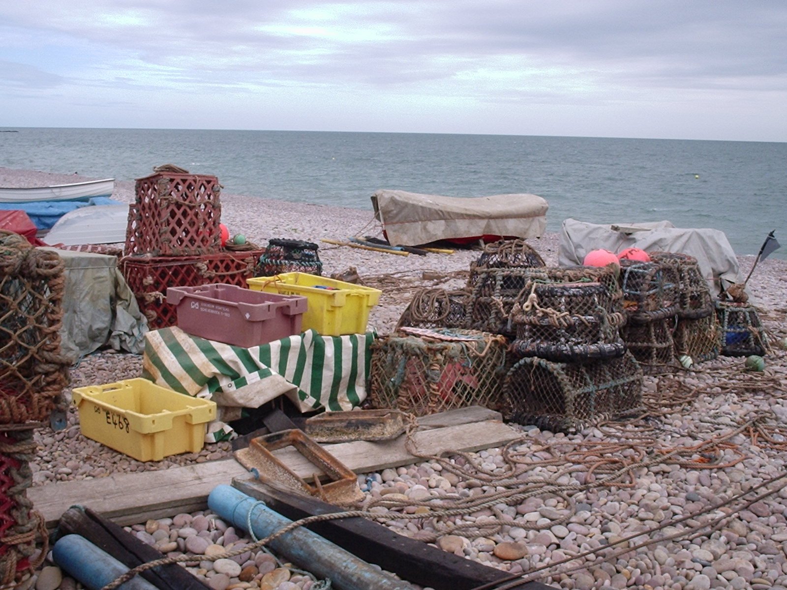 several cages of crab are on the beach next to the water