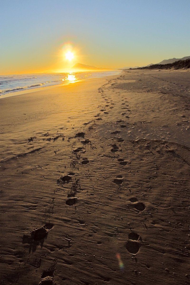 a pair of footprints on a beach with the sun setting in the distance