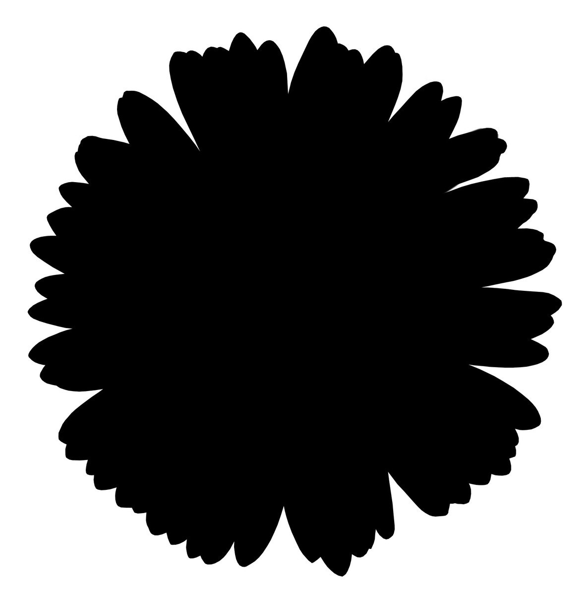 the silhouette of a large flower on a white background