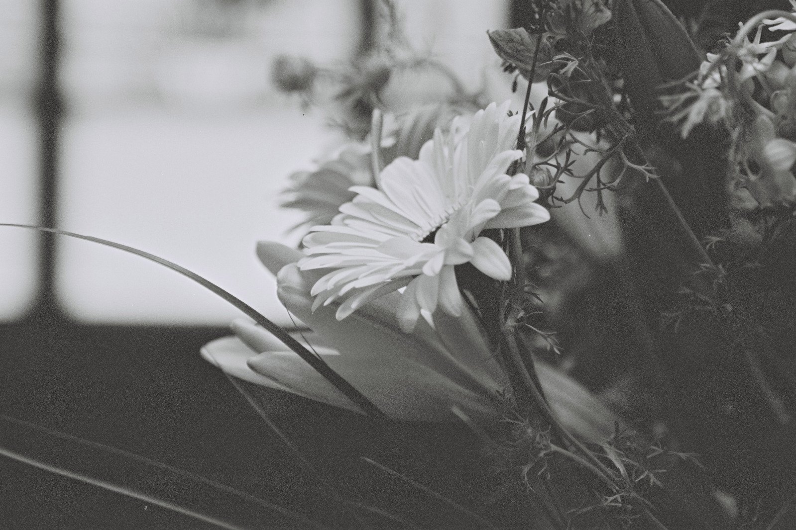 black and white pograph of flowers on a table