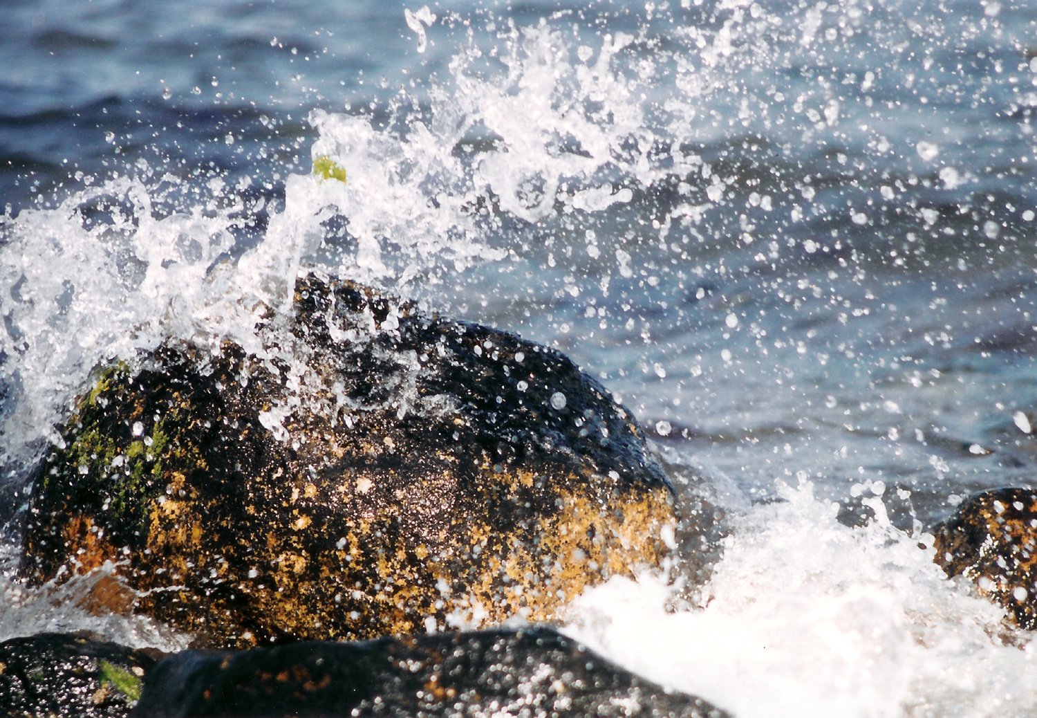 a bird is sitting on a large rock in the water