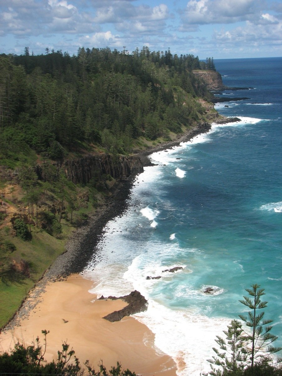 two large surf boards sitting on the shore of a beach