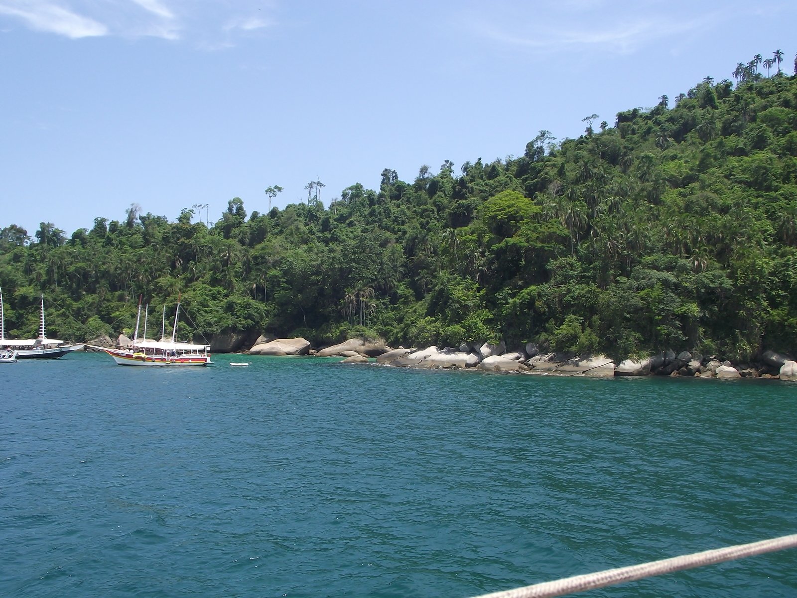 a body of water surrounded by green trees