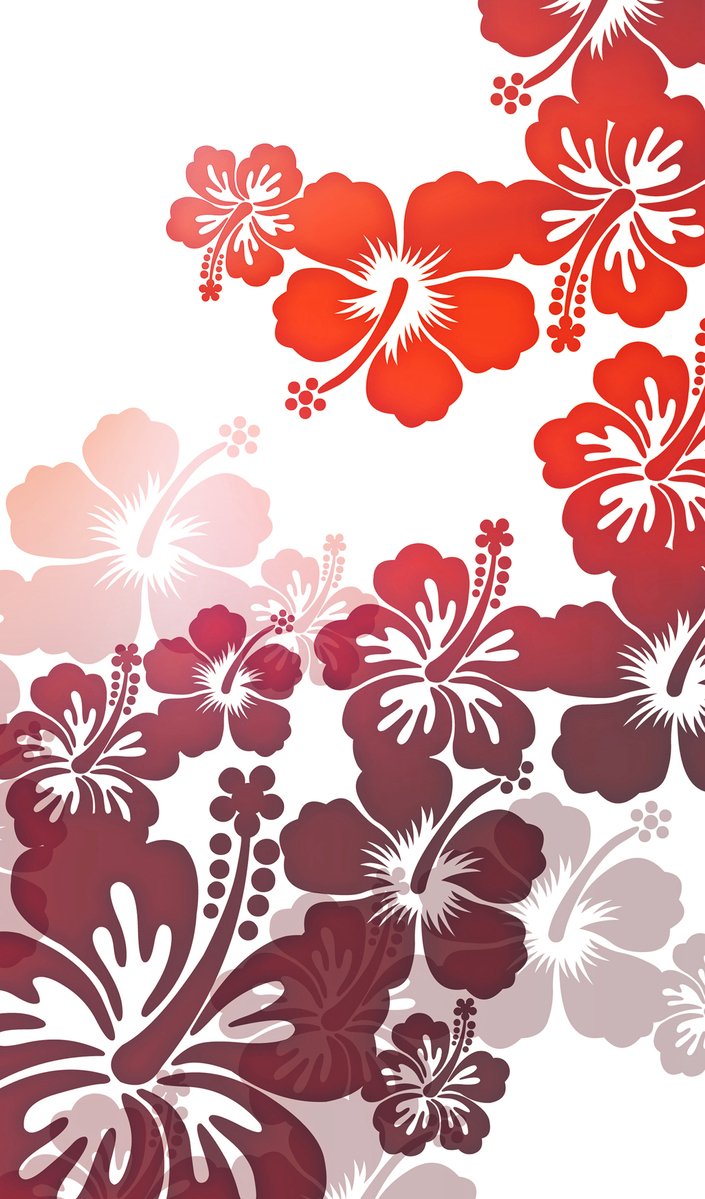 an image of some red flowers on a white background