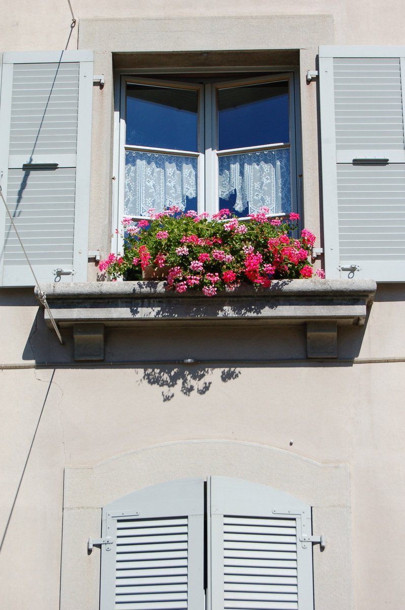 a window with shutters open on a building