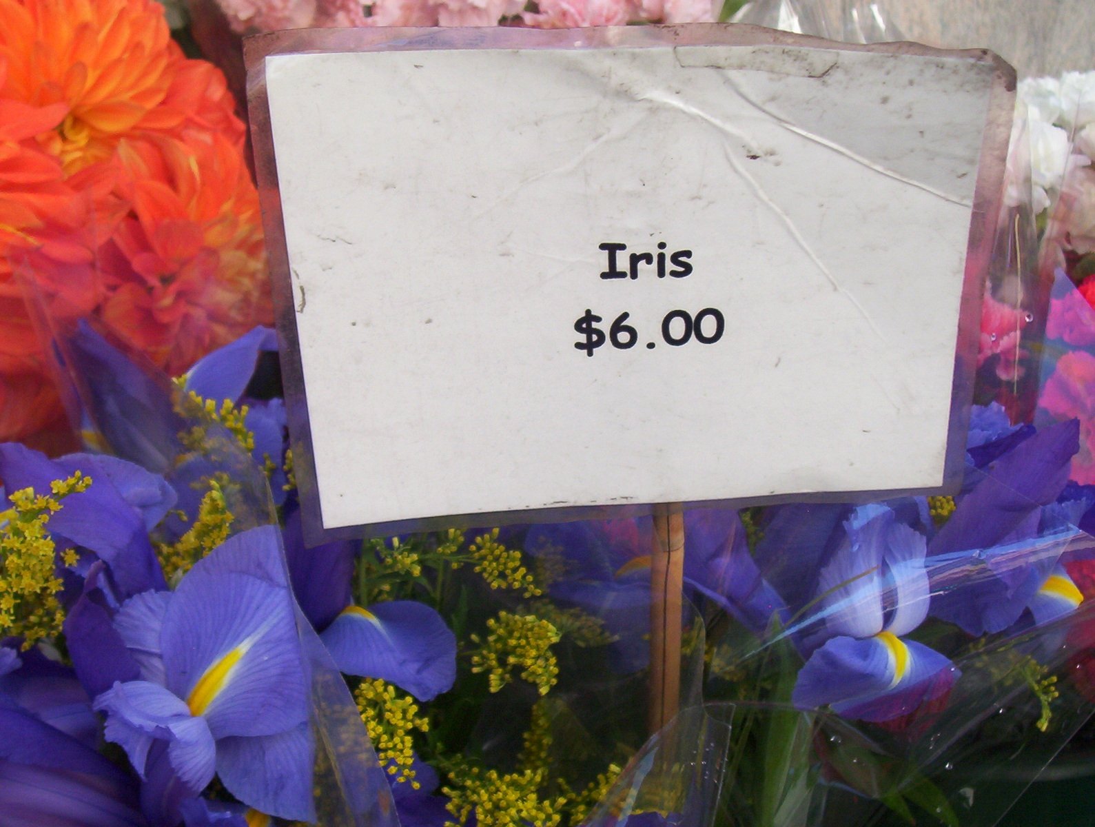 there is a sign on some flowers that say it is $ 6 00