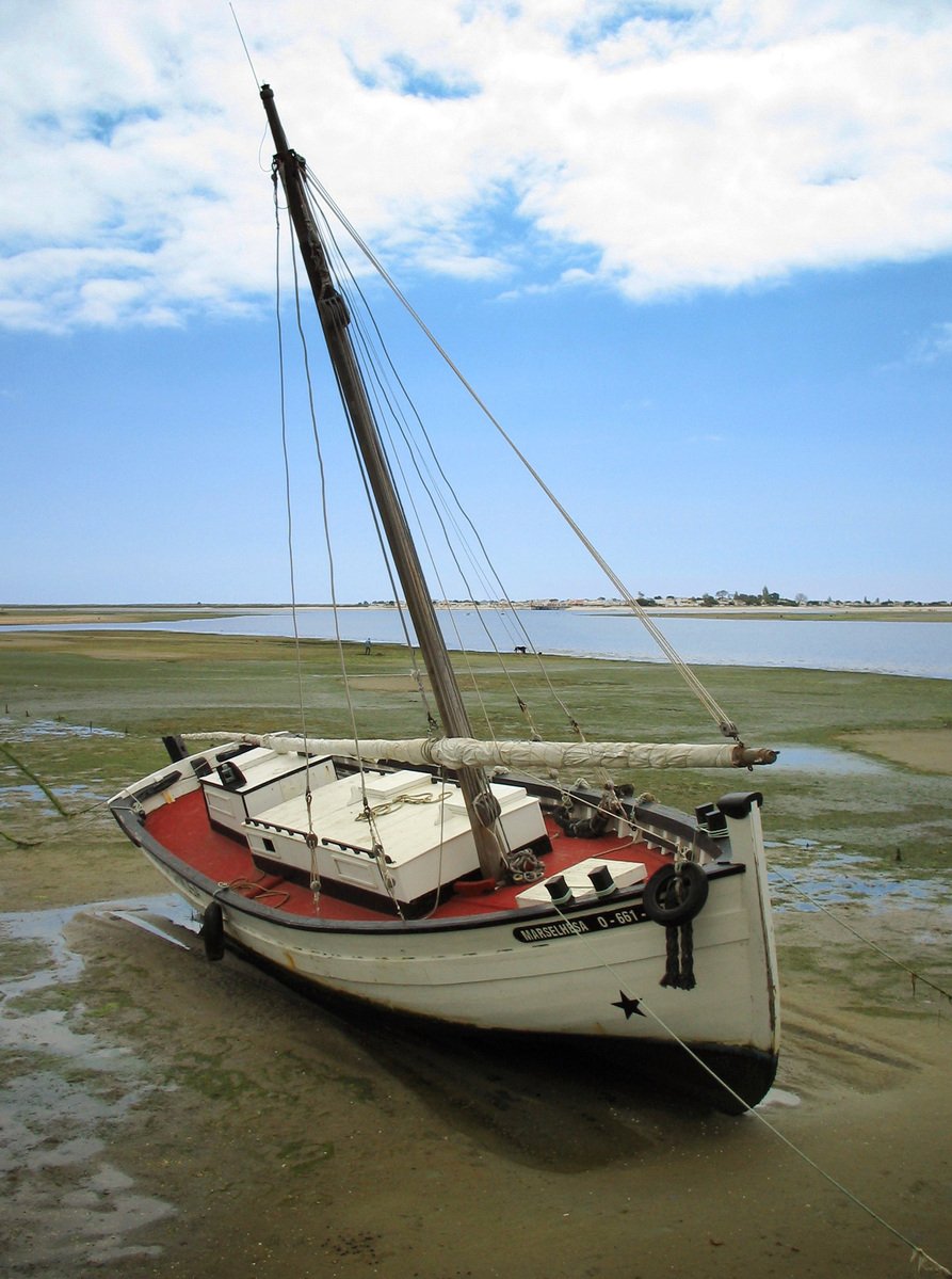 a sail boat resting on the beach after the tide swept it