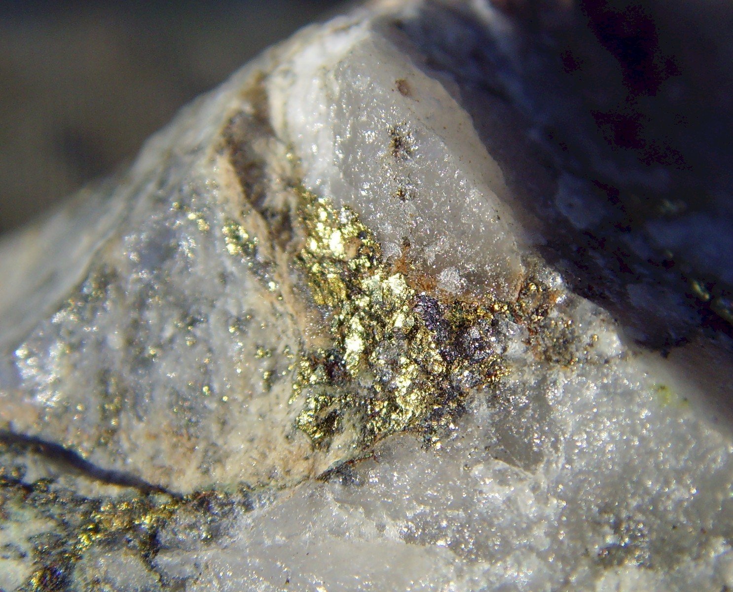 a close up of a rock containing various dirt and moss
