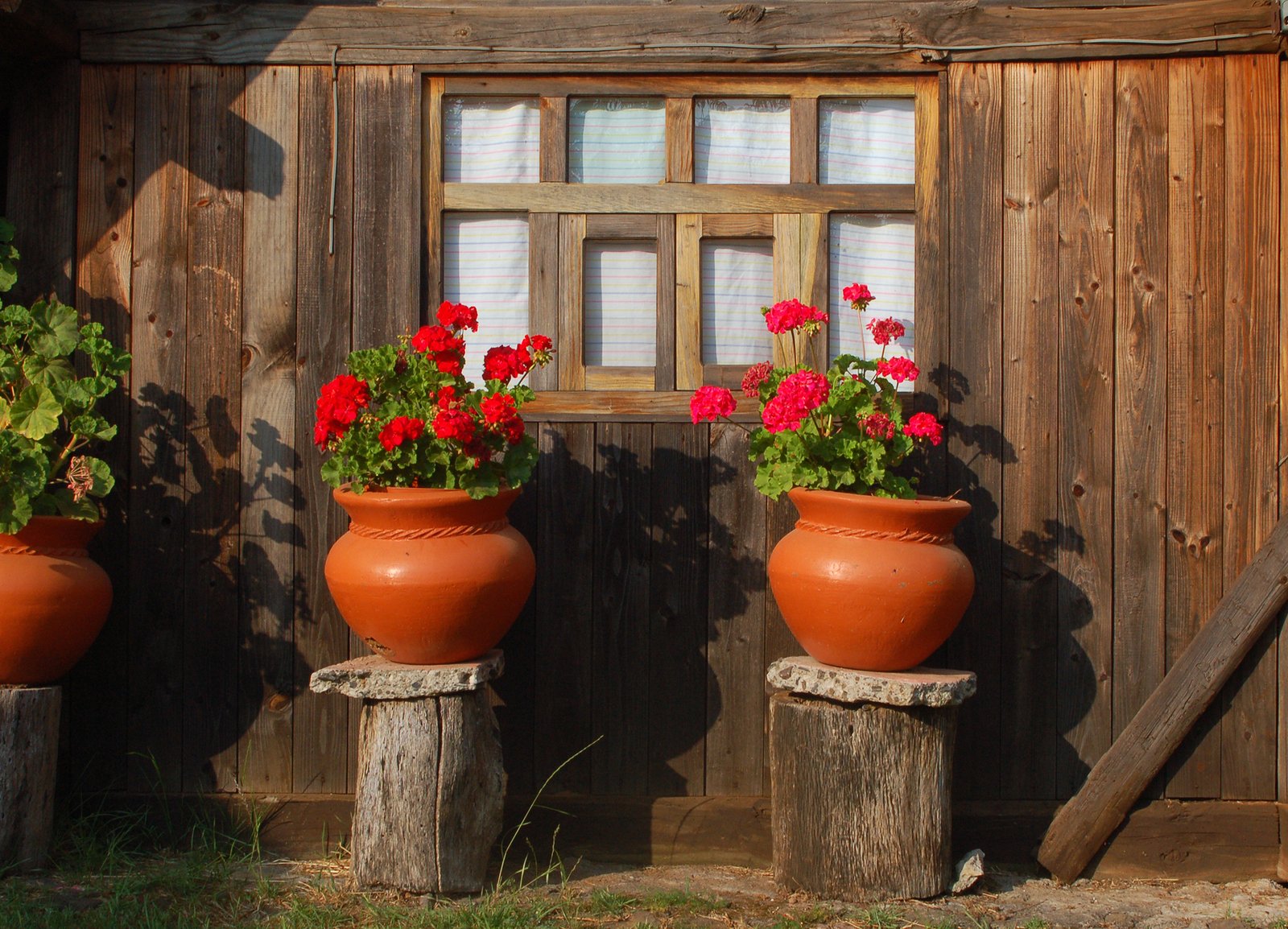 three tall pots on the ground with flowers in them