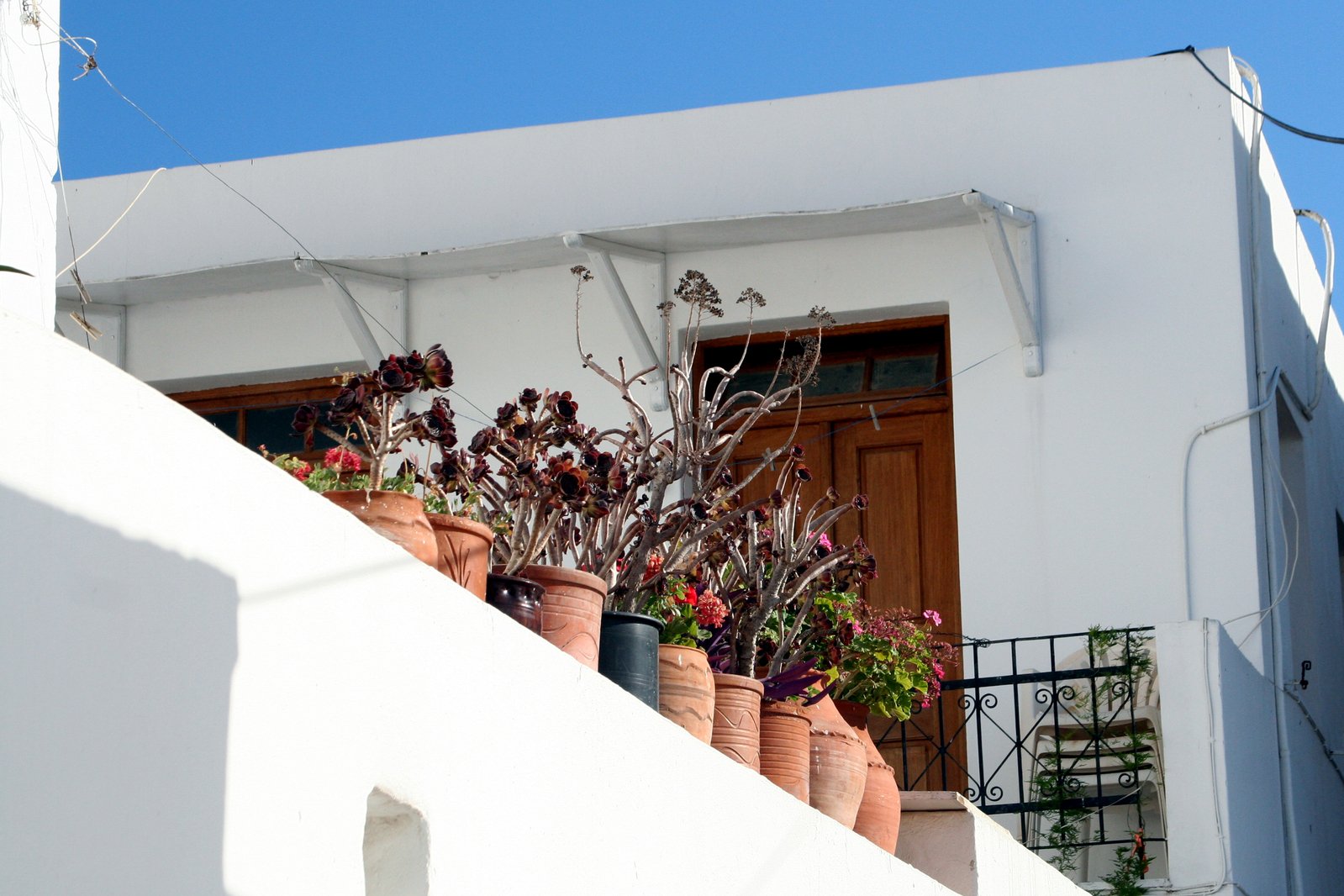 a row of vases with plants next to some stairs