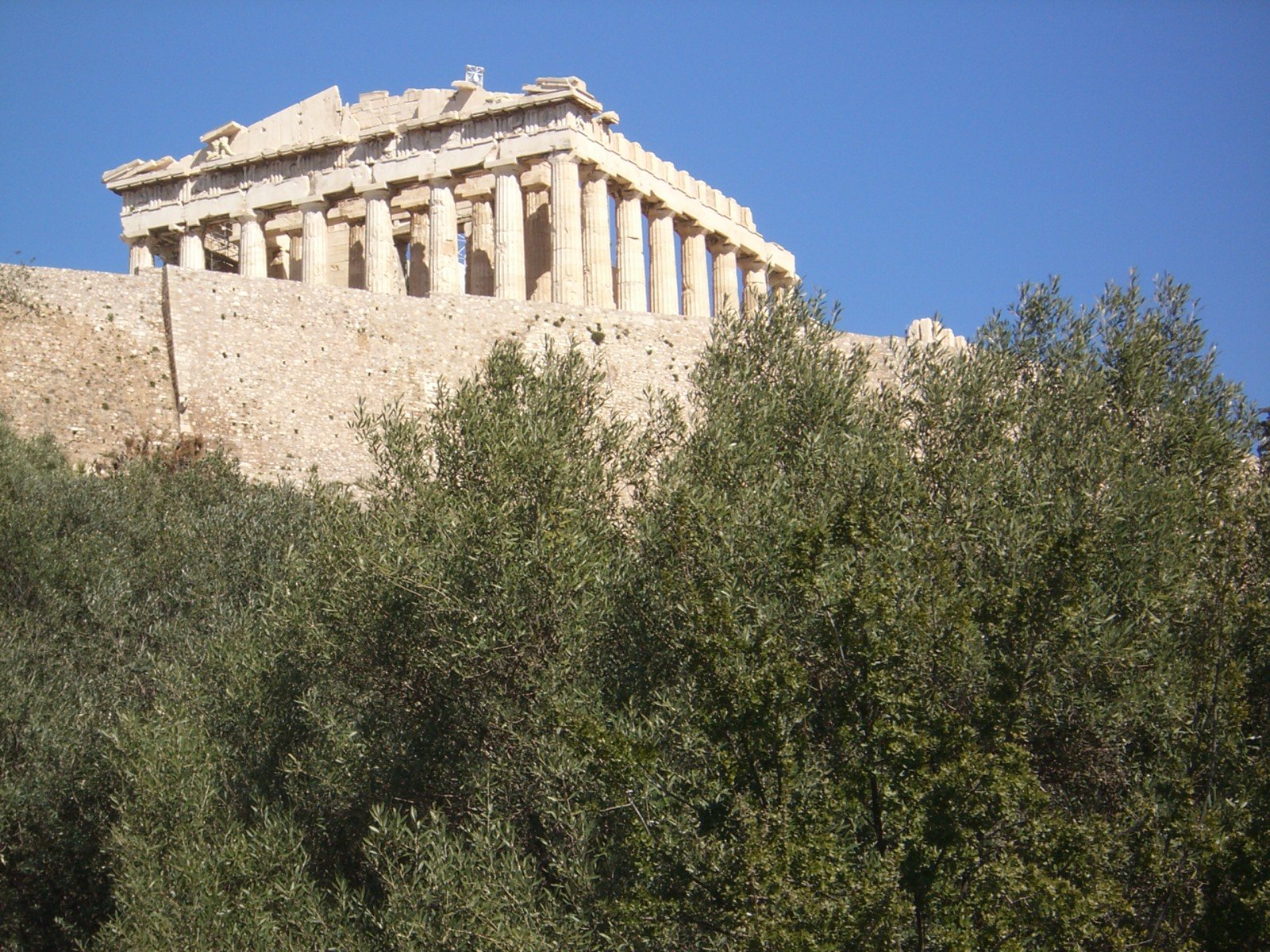 a building with many columns on top of it and trees growing on the side