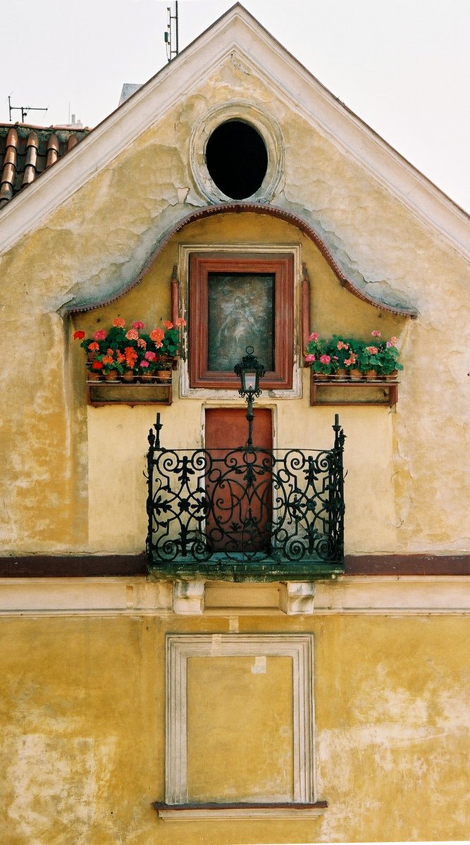 a view of the corner of an old building with plants on it