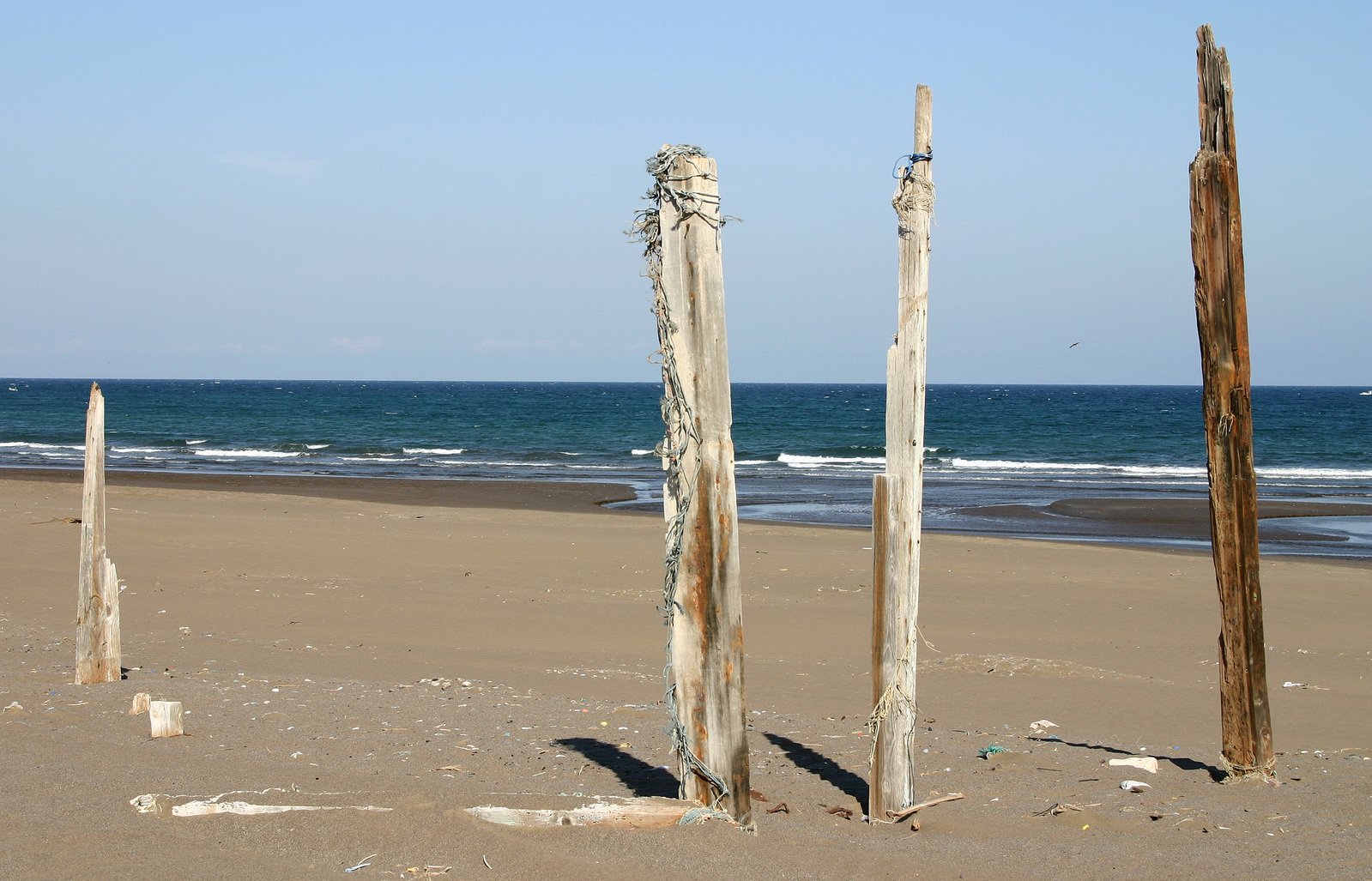 a group of old wooden posts sticking out from the sand