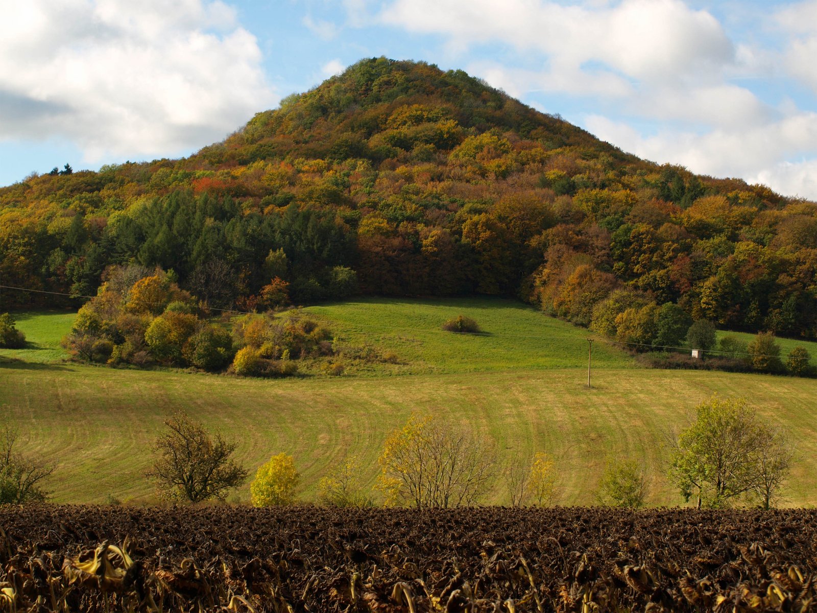 the large grass field has trees on the hill