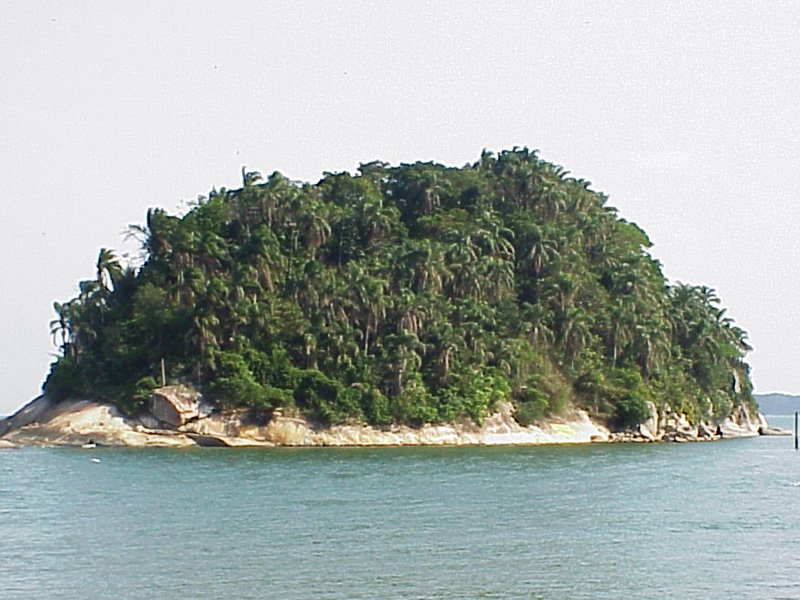 an island in the middle of a body of water with trees