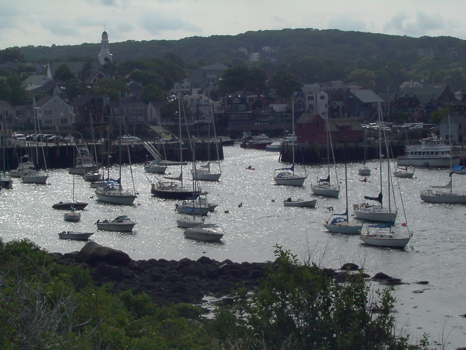 a harbor with many sail boats and trees