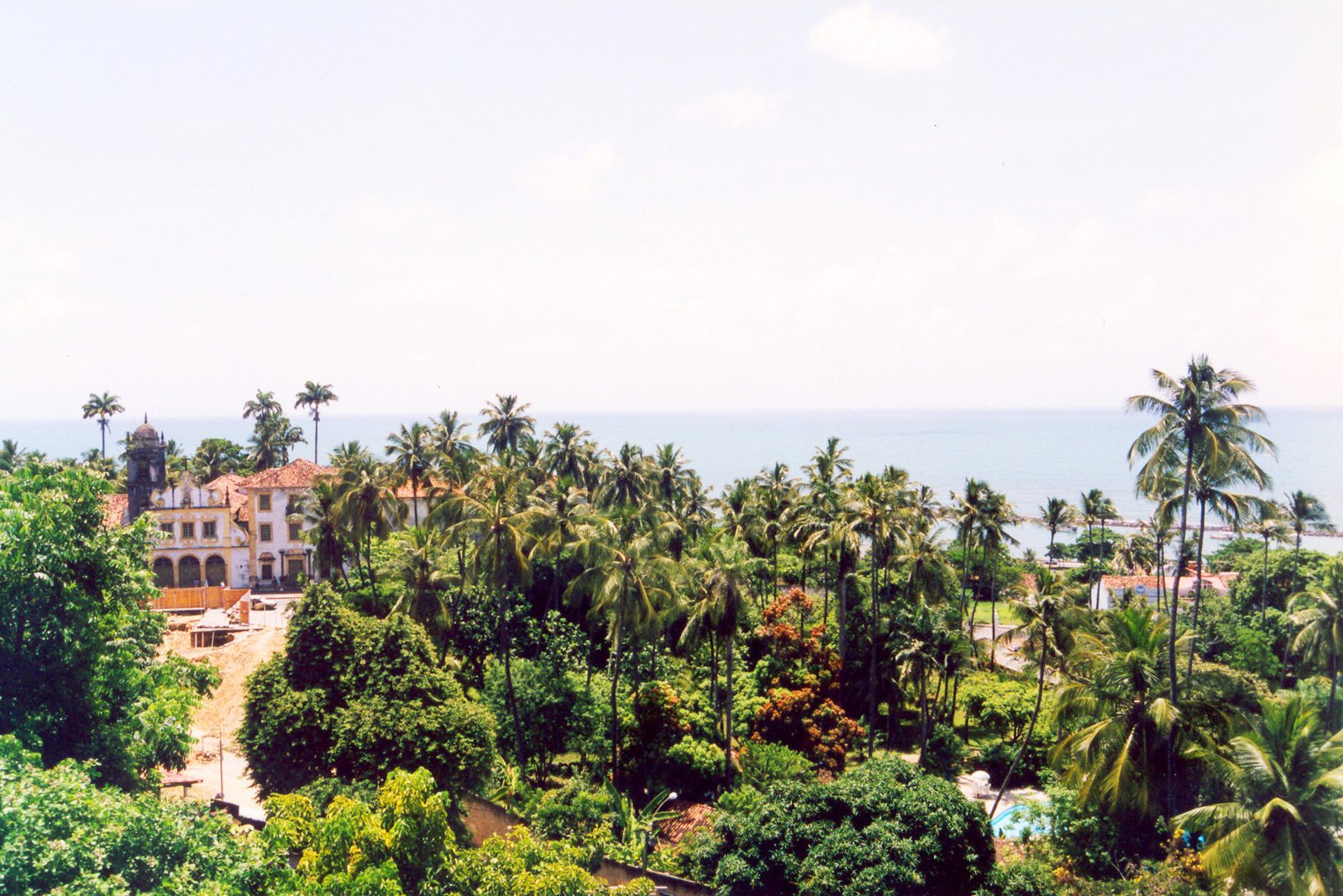 an aerial s of palm trees surrounding an old, rundown neighborhood