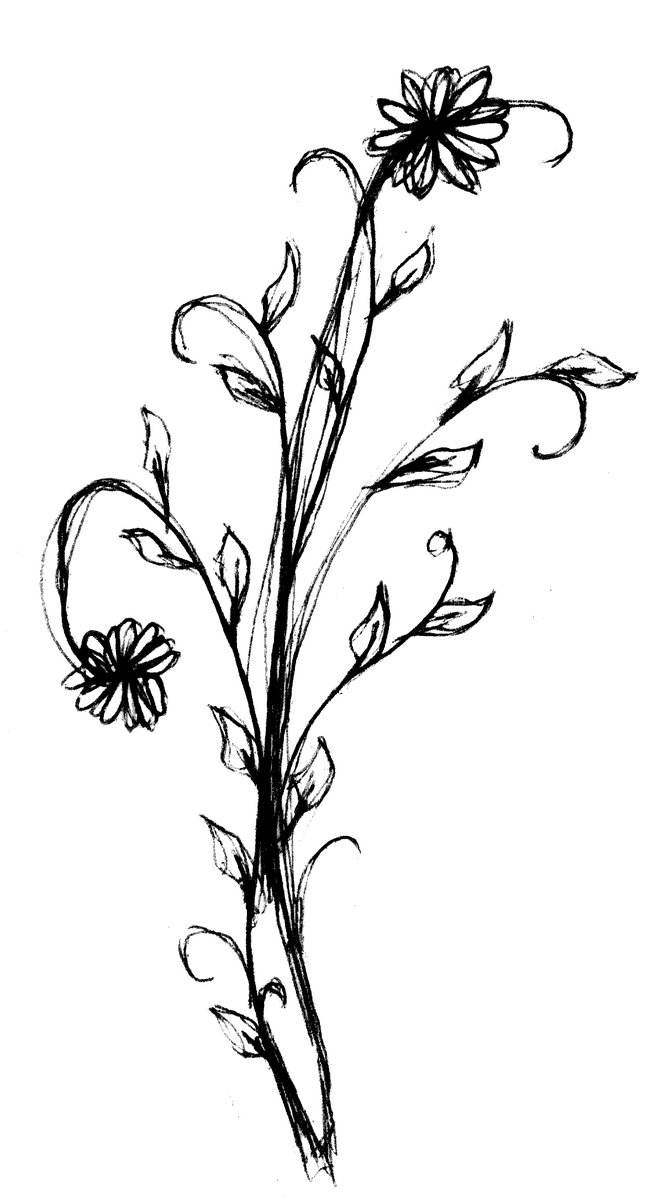 a black and white sketch of flowers in a vase