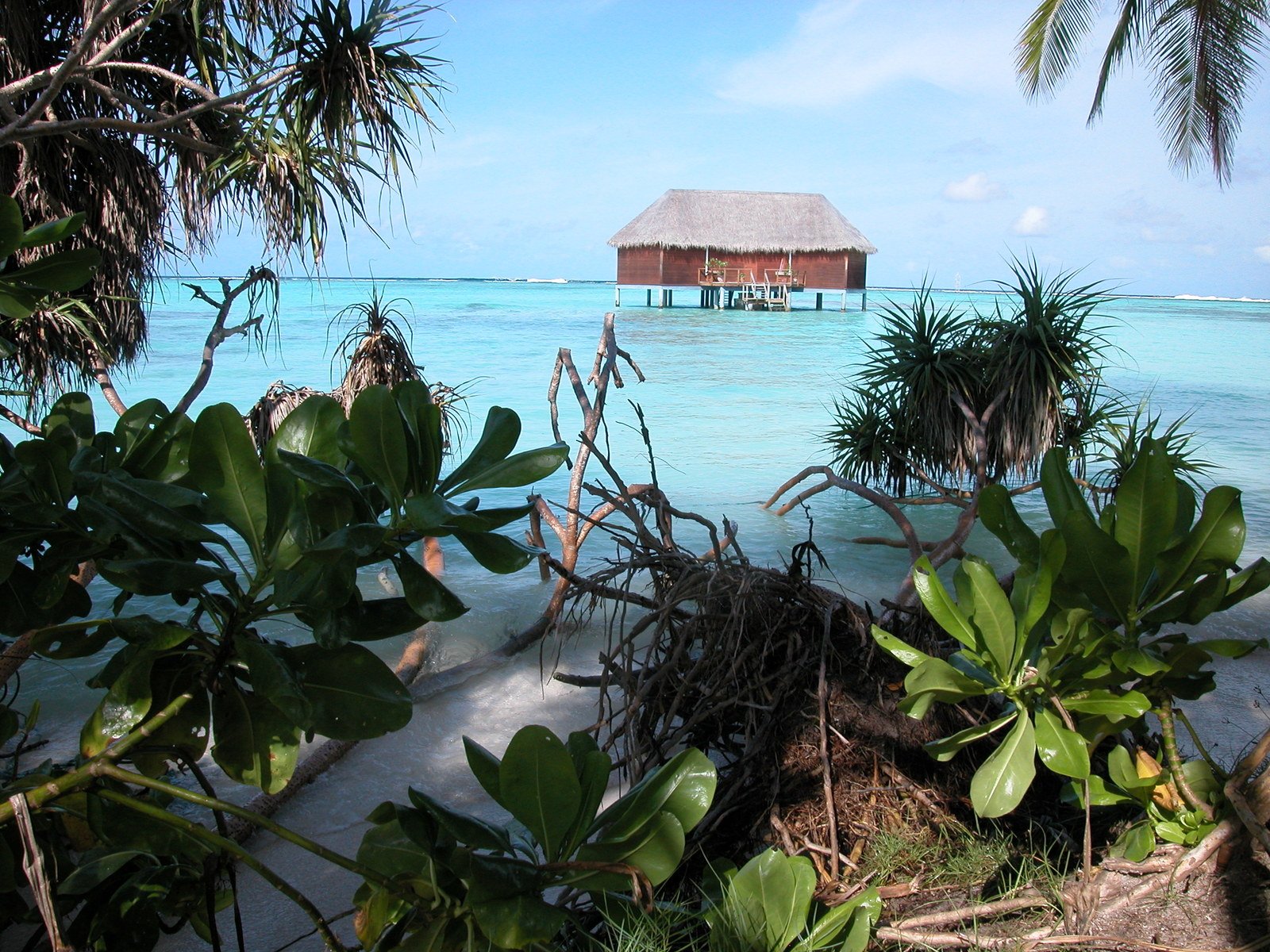 a thatched roofed hut is sitting on the water