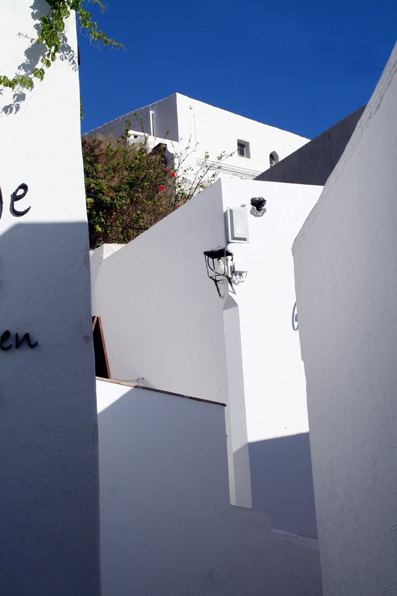 a tall white building with a tree in the background