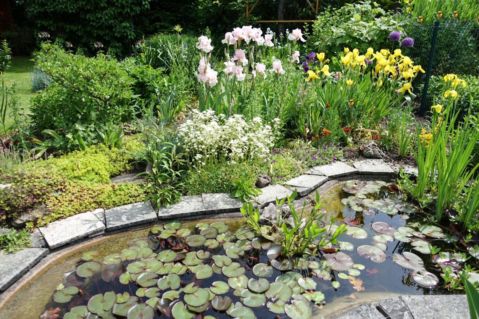 a pond with water lillies and flowers surrounding it