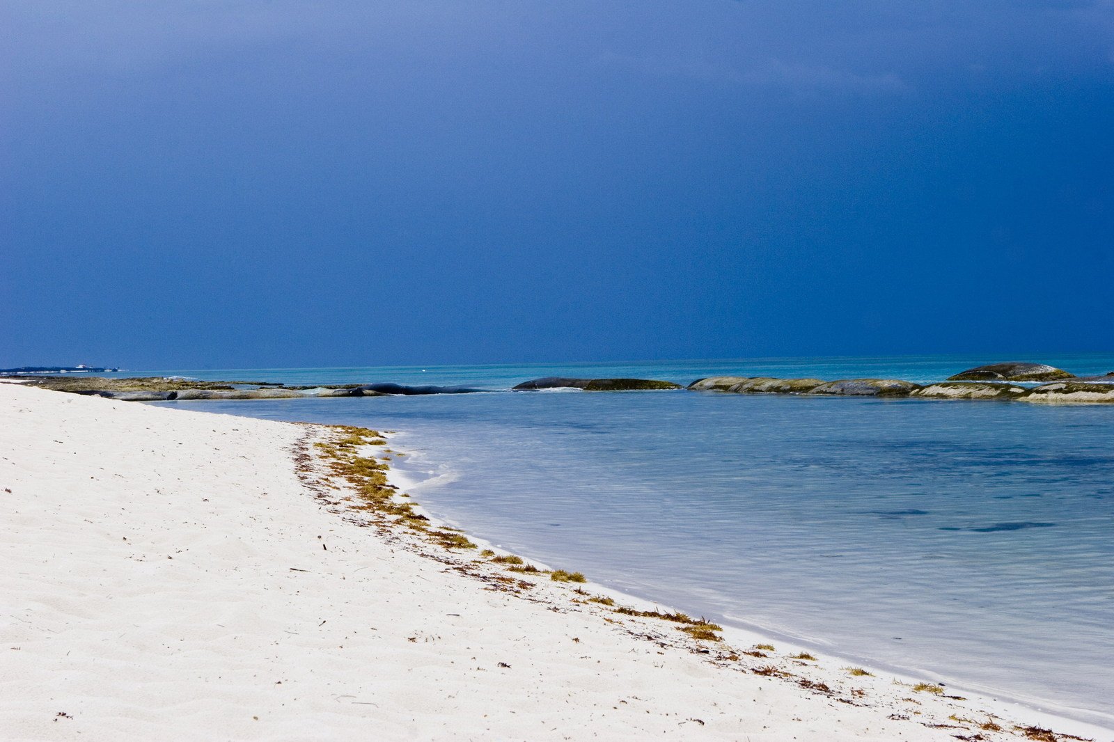 the ocean has a sandy beach, with clear waters, and grass