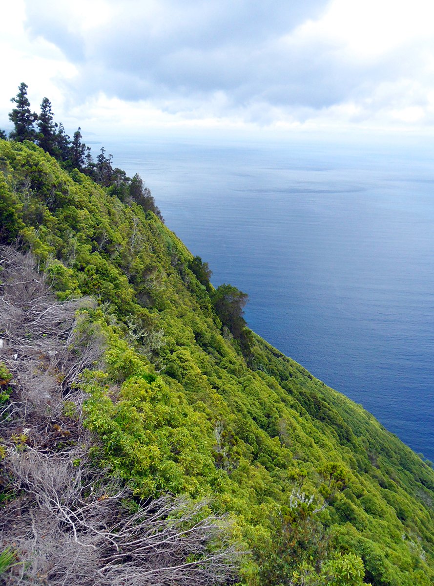 a trail along the side of a hillside near the ocean