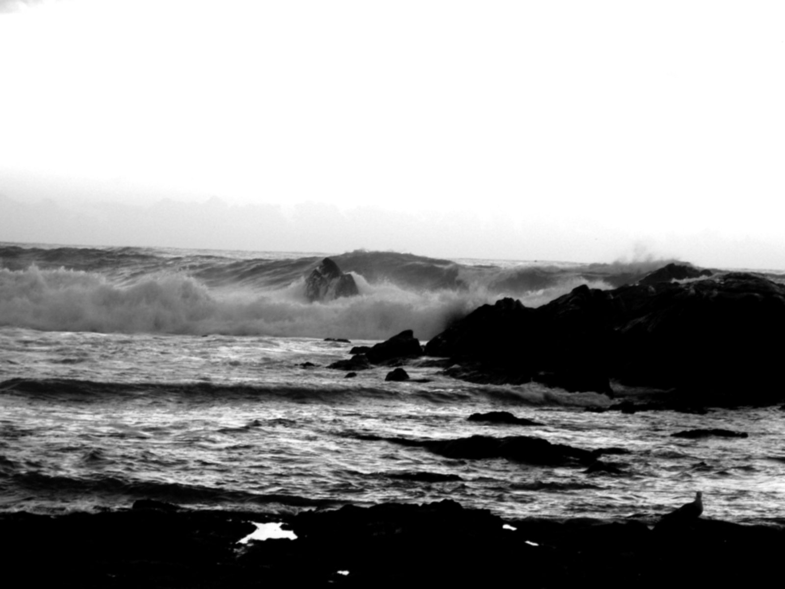 black and white pograph of waves crashing against rocks