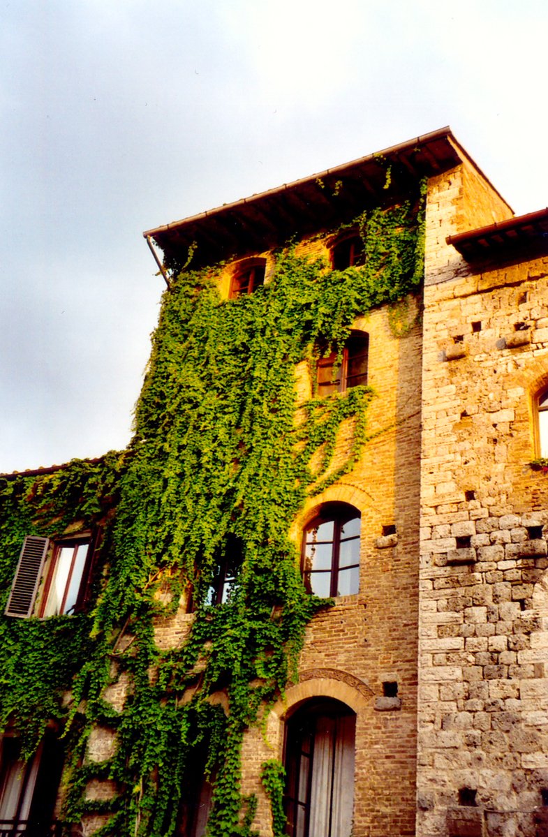 an old building with vines growing on it