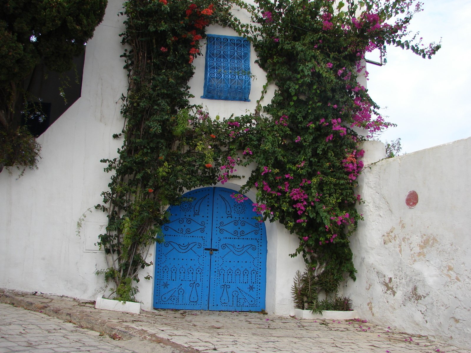 two blue doors that are surrounded by flowers