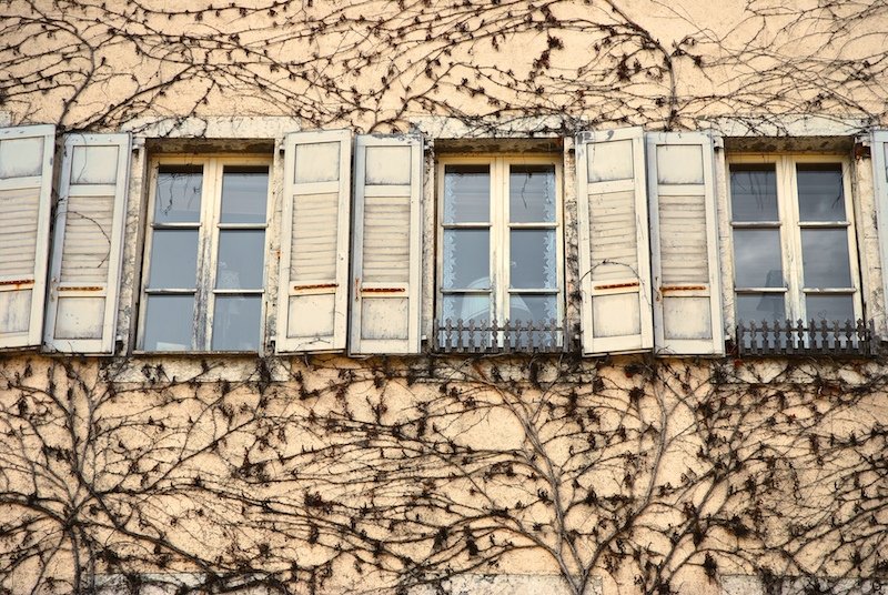 a large window on a building next to an vine covered wall