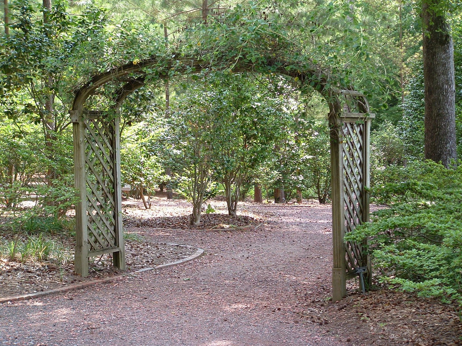 a tree covered path leading to a forest with several wooden gates and bushes