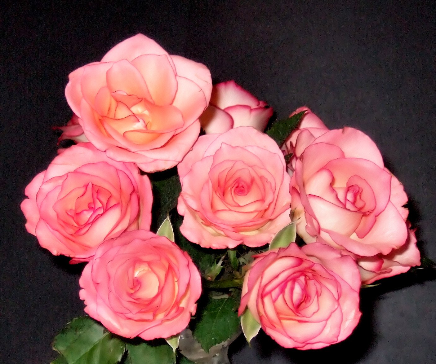 some pink roses with green stems in a vase
