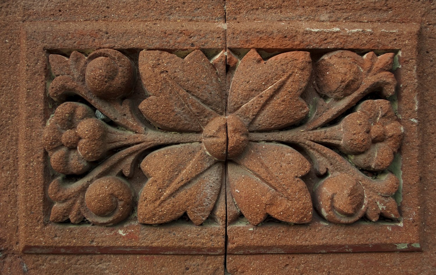closeup of a cement carving with leaves