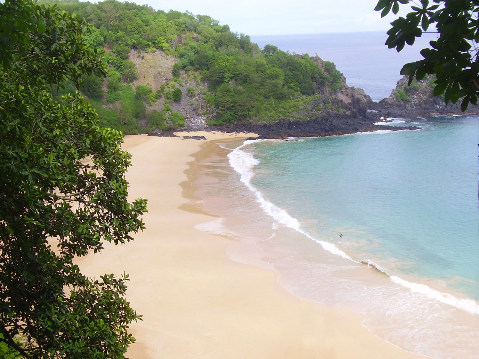 a very sandy beach with a green wooded area by the water