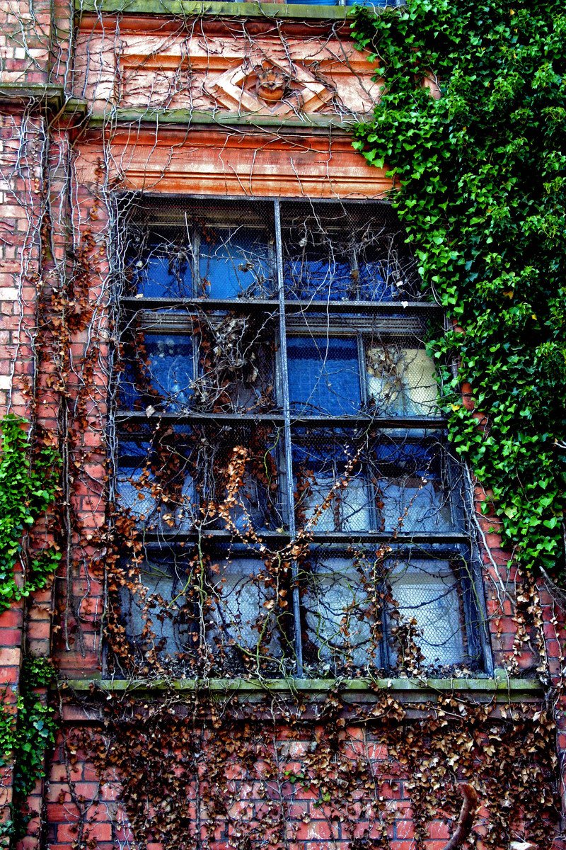 an abandoned building with ivy growing all over the windows