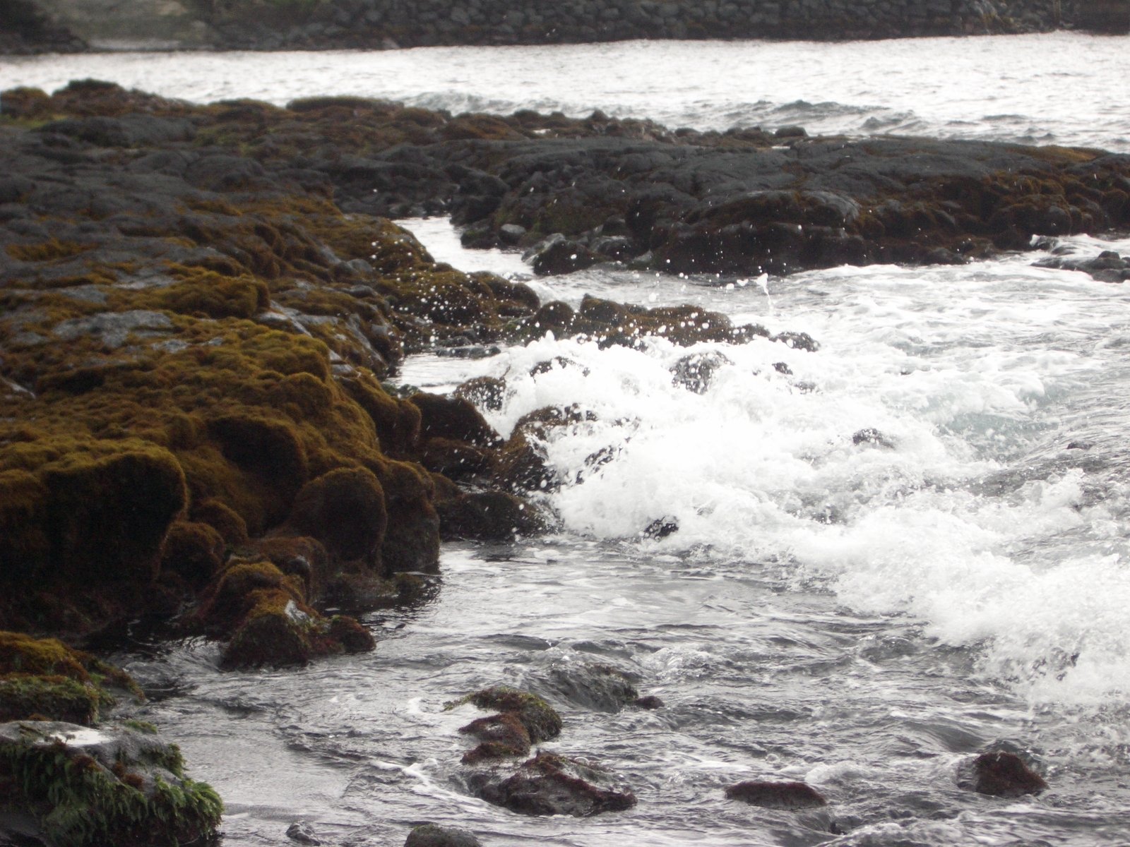 there is a bird that is sitting on rocks