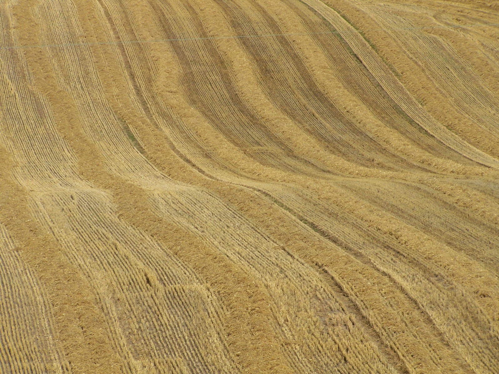 a picture of some dirt in the middle of the field