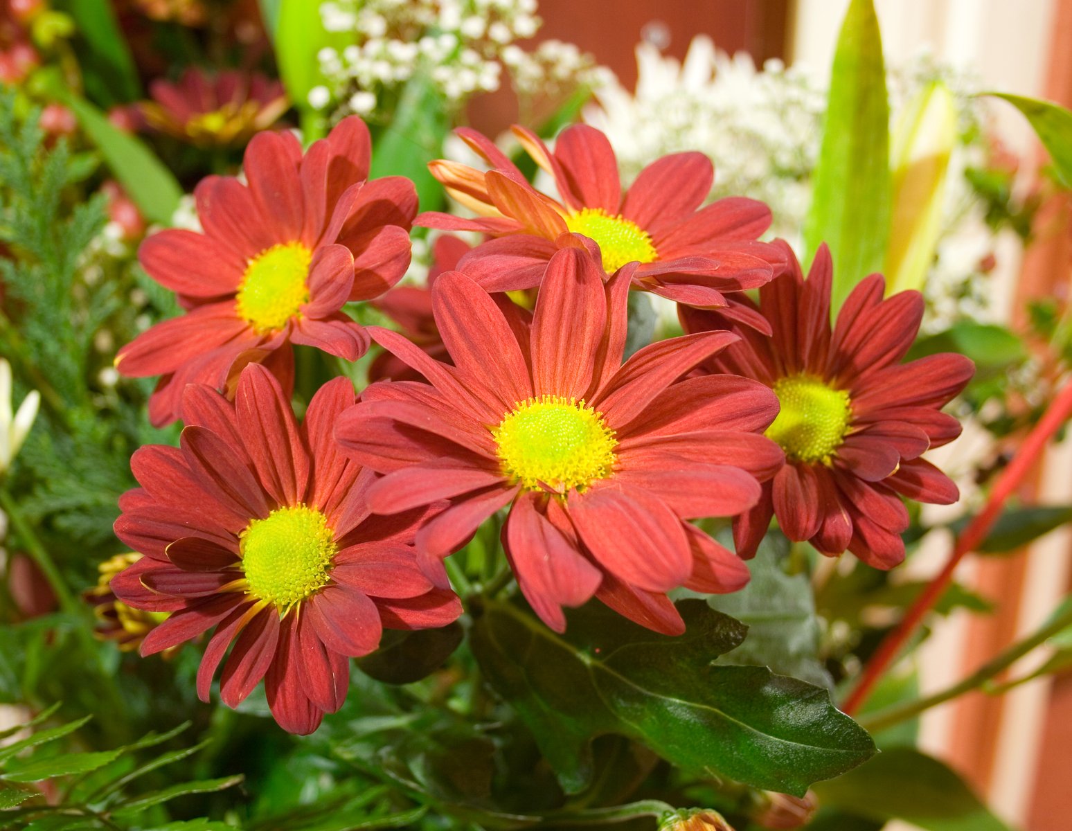 a close up of red flowers in a vase