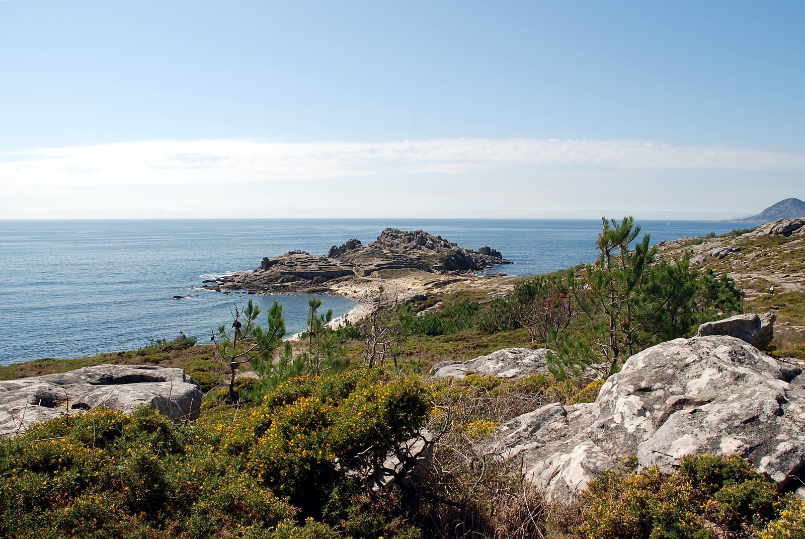 a scenic view of a sea with a rock outcropping, bushes and water in the background